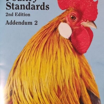 Updated Addendum 2 available now